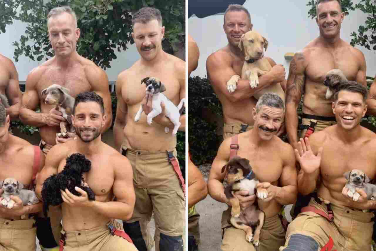 Vídeo mostra bombeiros musculosos antes de posar para calendário com filhotes