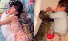 Coletânea de vídeos reúne momentos fofos entre gatos e bebês