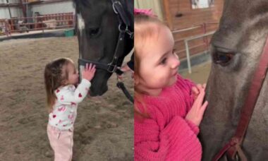 Vídeo fofo registra história de amor entre cavalo e menininha