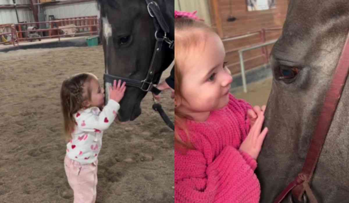 Vídeo fofo registra história de amor entre cavalo e menininha