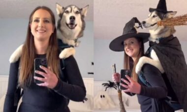 Vídeo: dona e seu cão fazem o mais hilário desfile com fantasias de Halloween