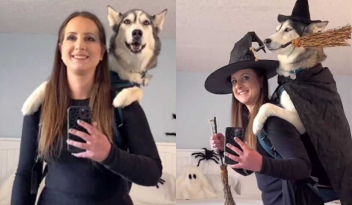 Video: owner and her dog hold the most hilarious Halloween parade