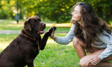 Se falar mais devagar, aumentam as chances de seu cão entender você, indica estudo