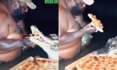 Vídeo impressionante: homem compartilha pizza com jacaré