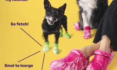 Crocs lança linha de calçados para cães com modelos similares para os donos