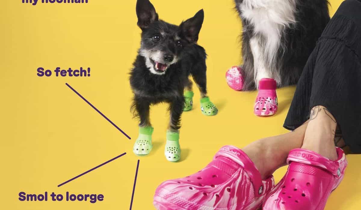 Crocs bringt eine Schuhlinie für Hunde mit passenden Modellen für die Besitzer heraus