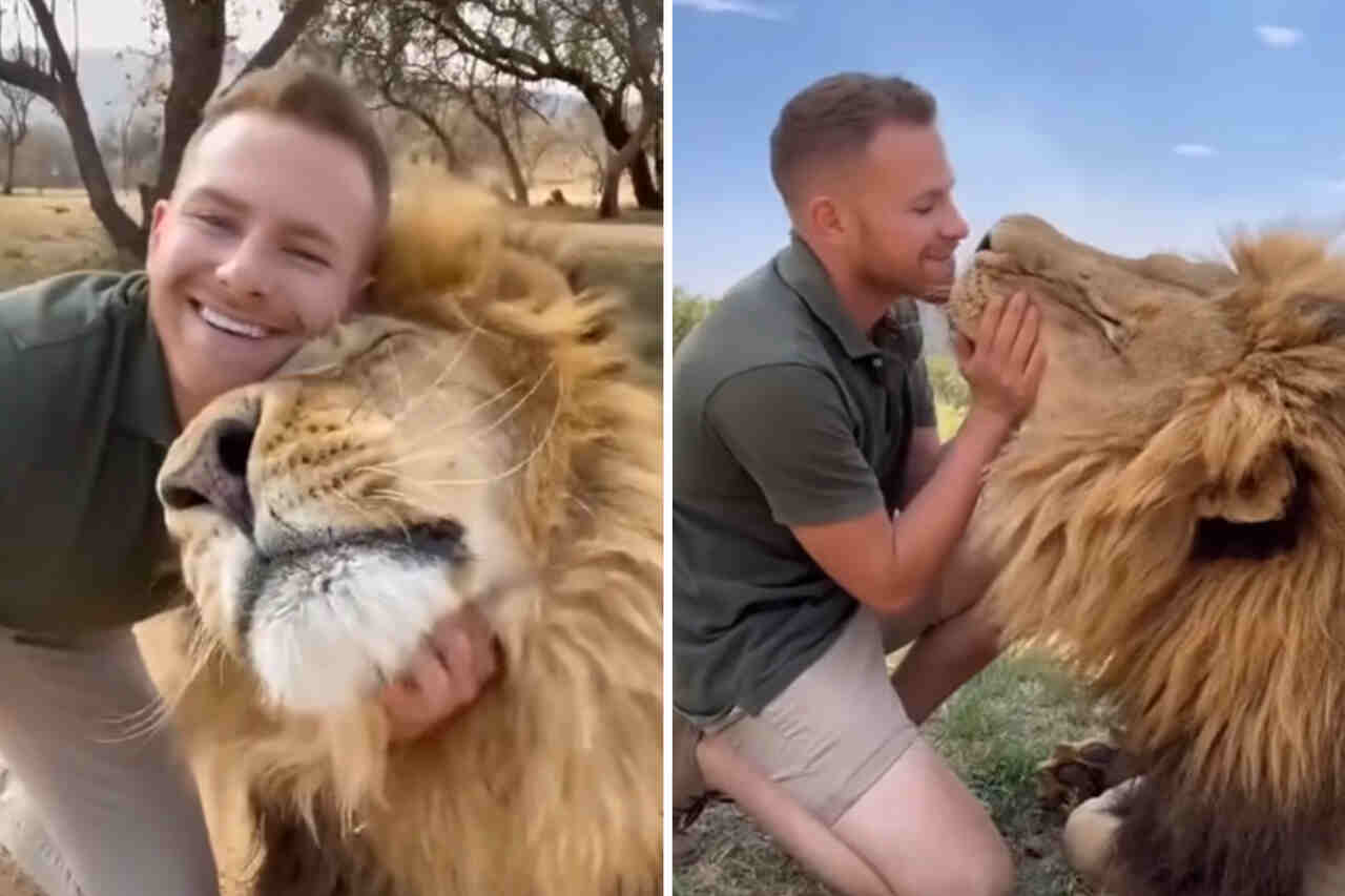 Video vat de vriendschap tussen man en leeuw samen