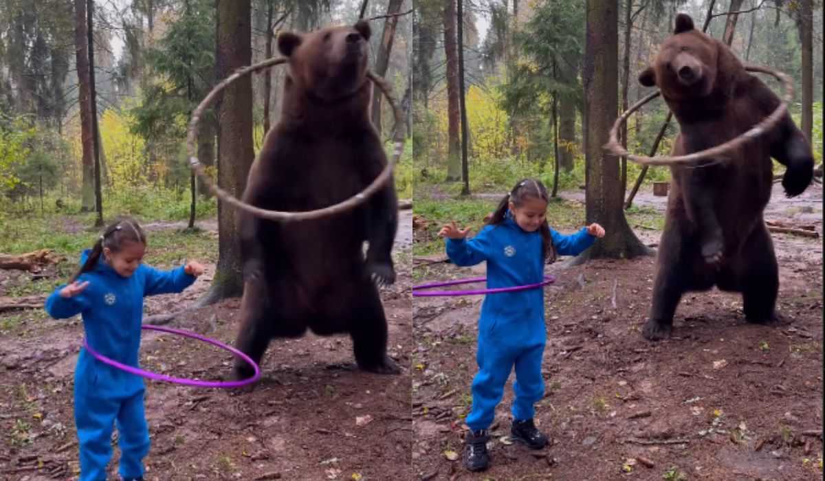 Imponerende video viser en gigantisk bjørn og en lille pige lege med hulahopring