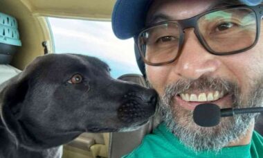 Piloto especializado em resgate animal e um cão morrem em acidente aéreo