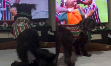 Vídeo hilário: cãozinho é torcedor fanático do Fluminense