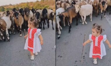 Vídeo de menininha pastora de cabras é a coisa mais fofa que você vai ver hoje