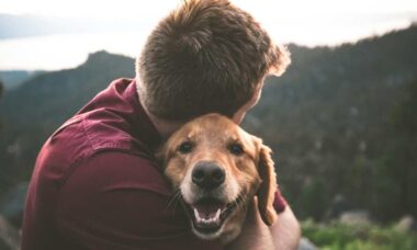 Droga que promete esticar a vida dos cães entra em fase final de testes