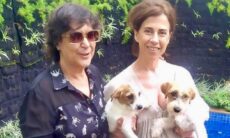 Conheça os cãezinhos que interpretaram Pimpão no “I’m Still Here”