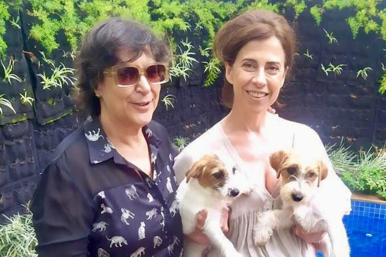 Mød de hunde, der spillede Pimpão i filmen “I’m Still Here”