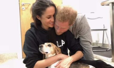 Meghan Markle chora a morte de Guy, seu cãozinho beagle adotado