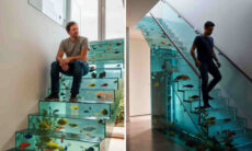 Vídeo: esses aquários devem ser os mais inusitados que você já viu