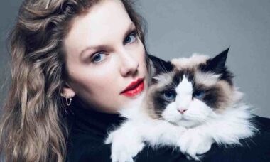 Patrimônio dos gatos de Taylor Swift chega a valores estratosféricos; saiba quanto