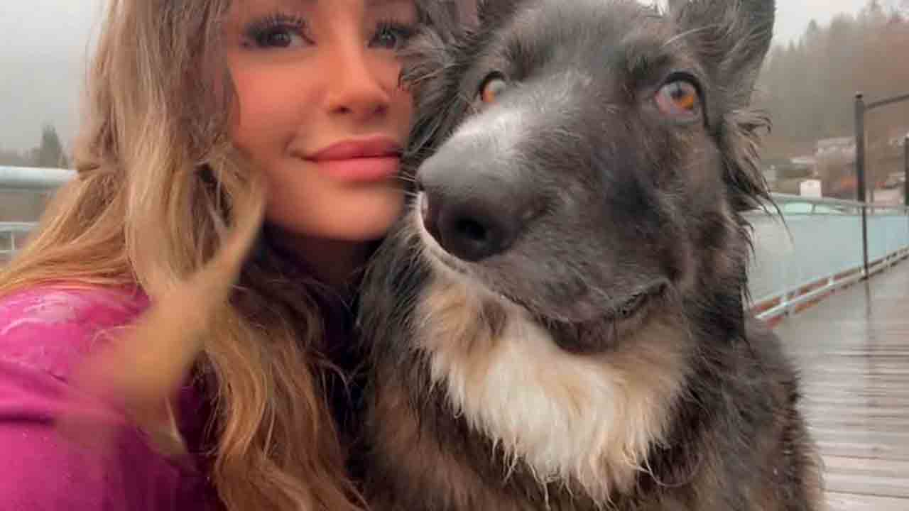 Picasso-maalauksen näköinen koira saa miljoonia seuraajia sosiaalisessa mediassa (Kuva: Instagram)