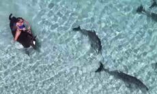 Vídeo registra mulher cavalgando seu cavalo no mar cercada de golfinhos