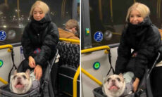 Vídeo hilário: cãozinho tagarela constrange a dona no transporte público