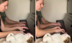 Vídeo hilário: gato relaxa completamente quando ouve donos tocando piano