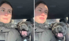 Vídeo hilário: dona tenta dialogar, mas cão tagarela não deixa