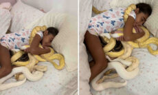 Vídeo impressionante mostra menina dormindo com suas cobras de estimação