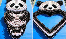 Vídeo impressionante registra coreografia gigantesca em homenagem aos pandas
