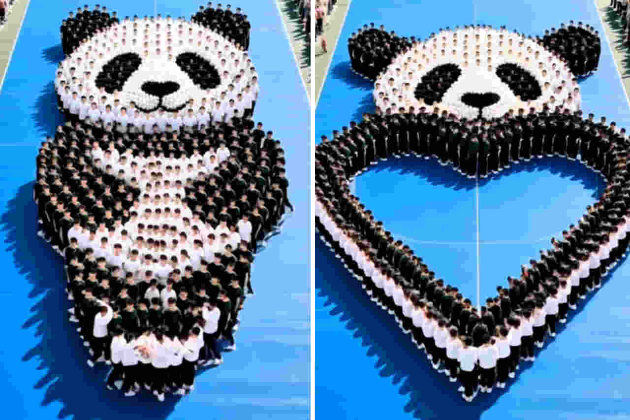 Video impressionante registra una coreografia gigantesca in omaggio ai panda