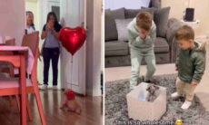 Vídeo comovente: pessoas de várias idades se emocionam ao ganhar cãezinhos de presente