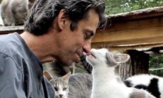 Incêndio mata pelo menos 100 gatos em santuário nos EUA