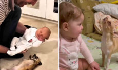 Vídeo: não tem nada mais fofo que a interação entre cães e bebês