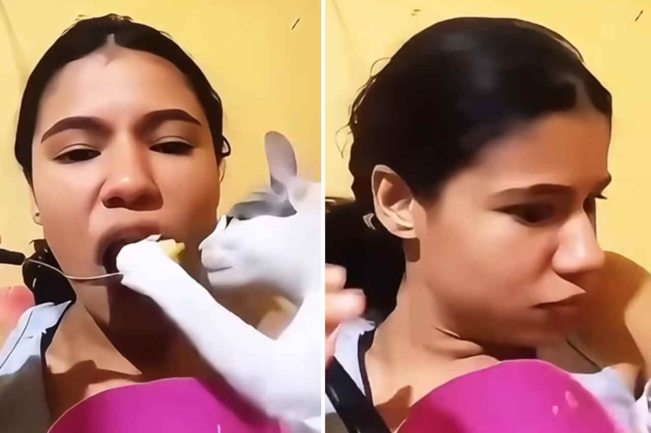 Vídeo hilário registra os gatos mais gulosos dos últimos tempos