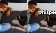 Vídeo hilário mostra donos ensinando cães a sussurrar