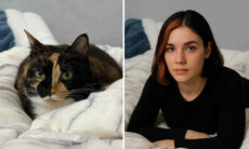 Donos usam inteligência artificial para “humanizar” seus pets