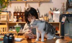 Gatos reconhecem o cheiro dos donos, indica estudo