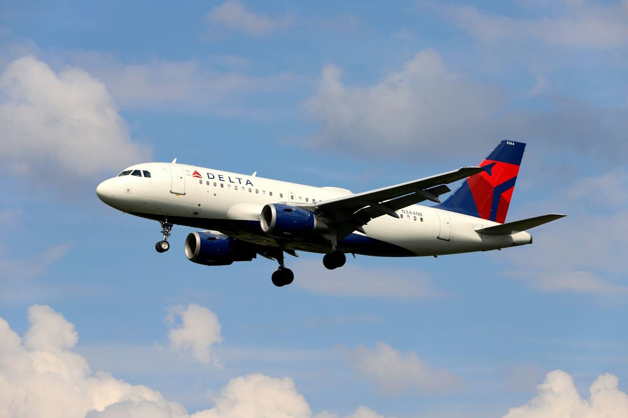 Flugzeug mit 181 Passagieren macht Notlandung, damit kranker Hund behandelt werden kann