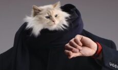 Rainha do luxo na internet, gata de Karl Lagerfeld estrela campanha da Hublot