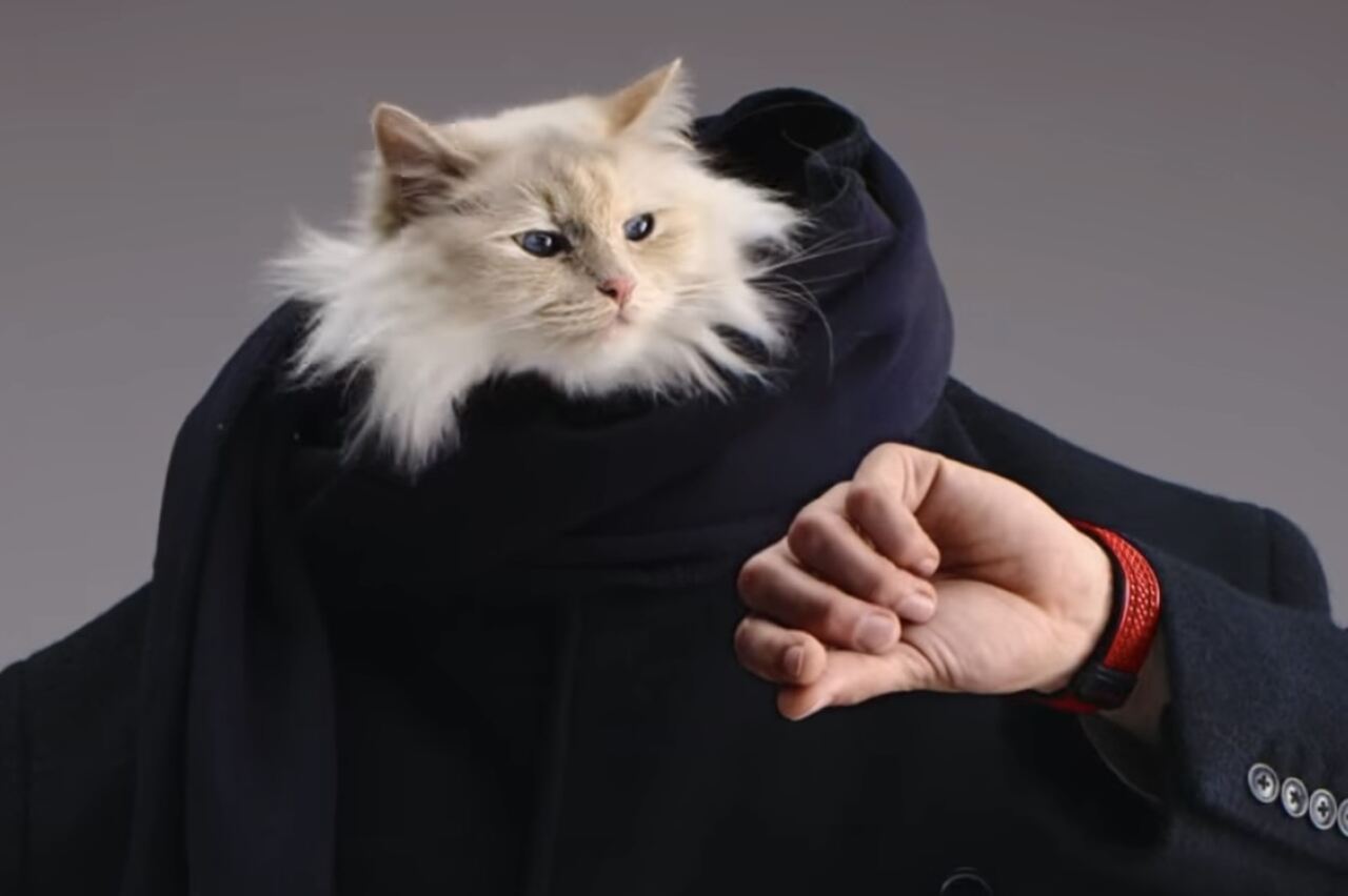 Rainha do luxo na internet, gata de Karl Lagerfeld estrela campanha da Hublot