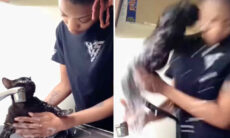 Vídeo registra reações hilárias de gatos na hora do banho