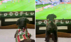 Vídeo hilário registra o cão mais fanático por futebol no mundo