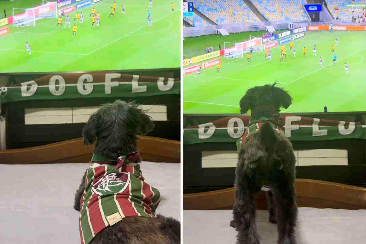Morsom video viser den mest fotballglade hunden i verden