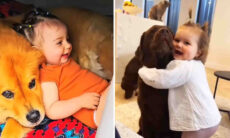 Vídeo extremamente fofo mostra interação entre cães e bebês
