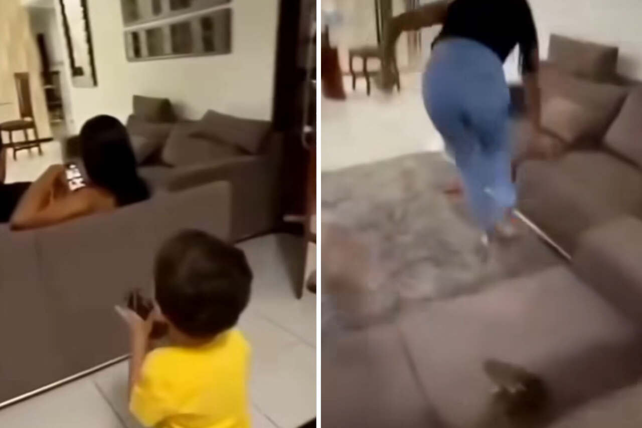 Funny video: boy almost gives his parents a heart attack by gifting them a frog
