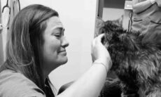 Reencontro incrível: gata desaparecida por 13 anos volta para casa e tem despedida emocionante