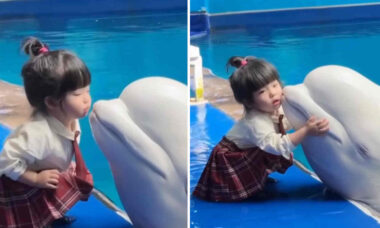 Vídeo fofo: menina e beluga trocam carícias na beira do tanque