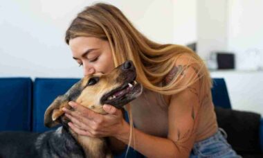 Entenda como um cão ou gato pode ser a melhor escolha para sua saúde