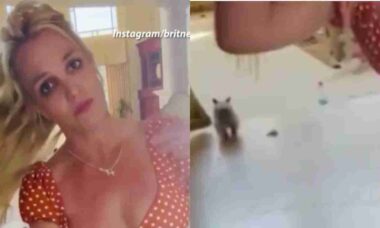 Vídeo de Britney Spears mostra sujeira de cães na mansão e preocupa fãs da cantora