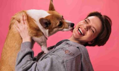 A ciência explica a felicidade extrema do seu cão ao reencontrar você