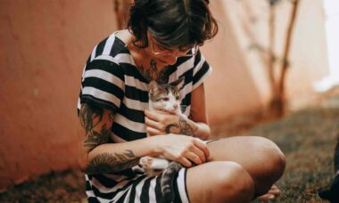 Aprenda a falar 'gatês': a ciência por trás da comunicação e do vínculo com seu gato